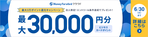 エントリー&条件達成プレゼント！3万ポイント還元キャンペーン 法人限定