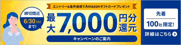 先着100社限定！エントリー&条件達成プレゼント！7,000円分還元キャンペーン 法人限定