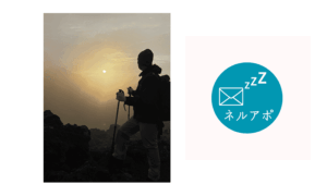 合同会社ネルアポ