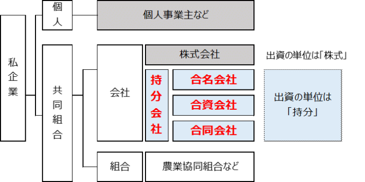 持分会社とは?株式会社との違いやメリット、設立手続きを解説! | マネーフォワード クラウド会社設立