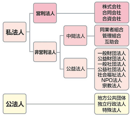 「営利法人」と「非営利法人」に分類