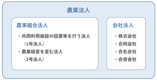 農業法人の種類は？