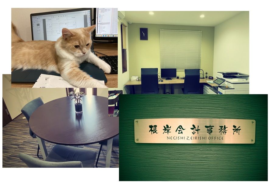 根岸会計事務所