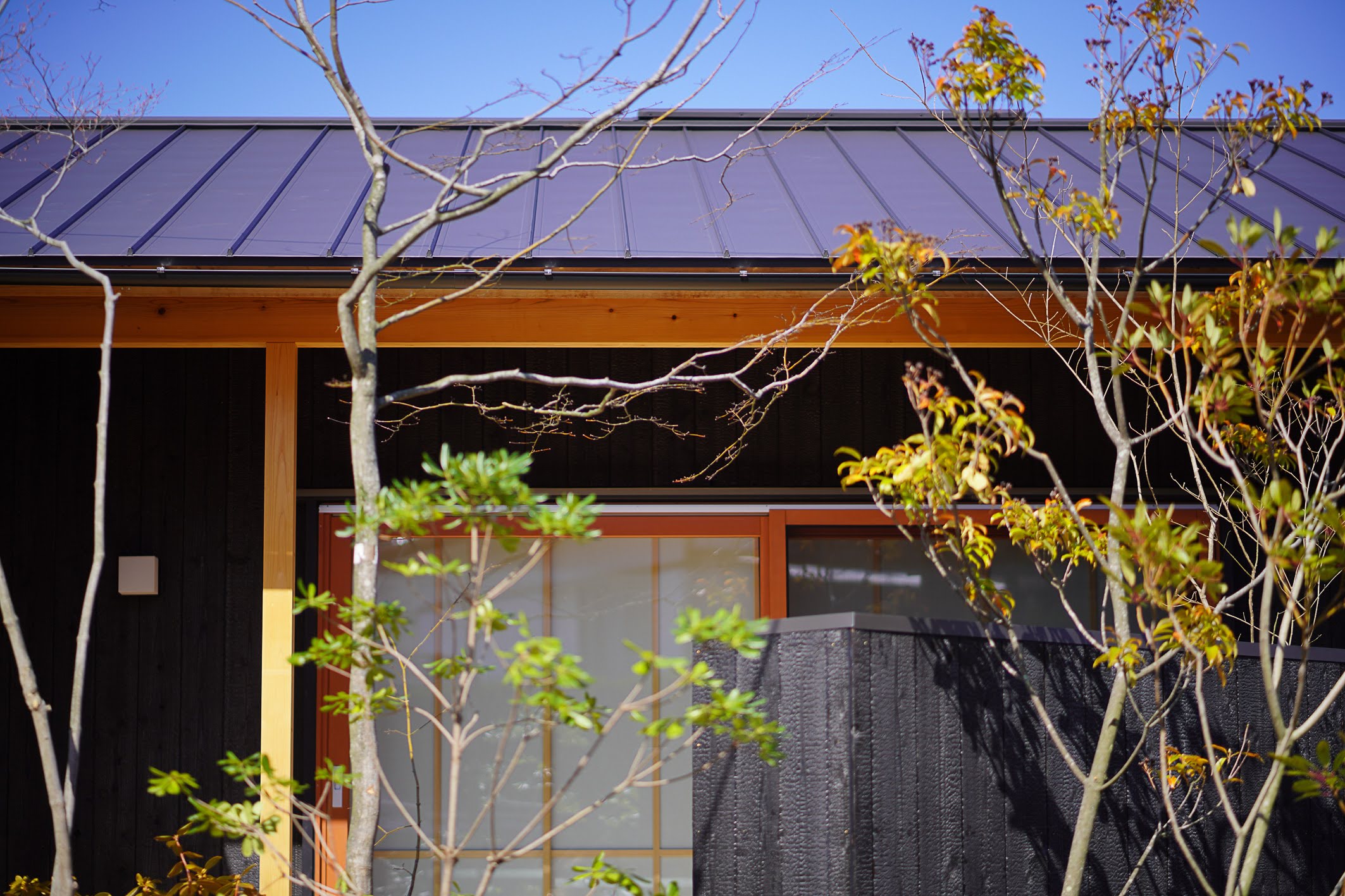 寺澤諒公認会計士事務所