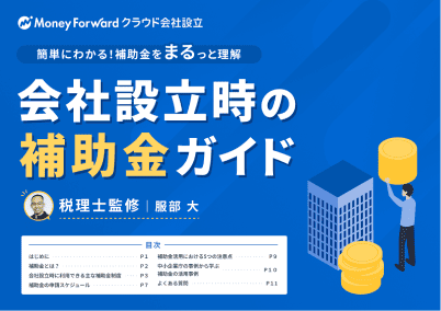補助金をまるっと理解 会社設立時の補助金ガイド