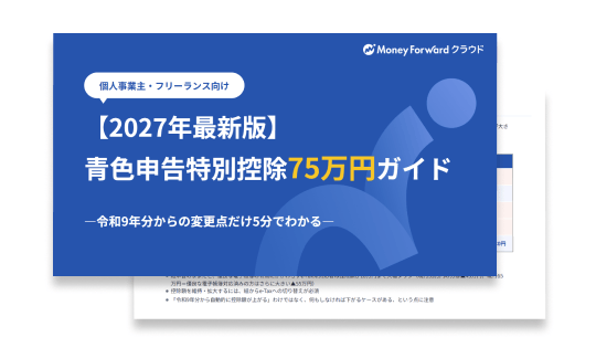 2027年最新版青色申告特別控除75万円ガイド